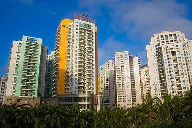 《怪物猎人崛起：曙光》追加特典 名犬、花狸猫外观装备